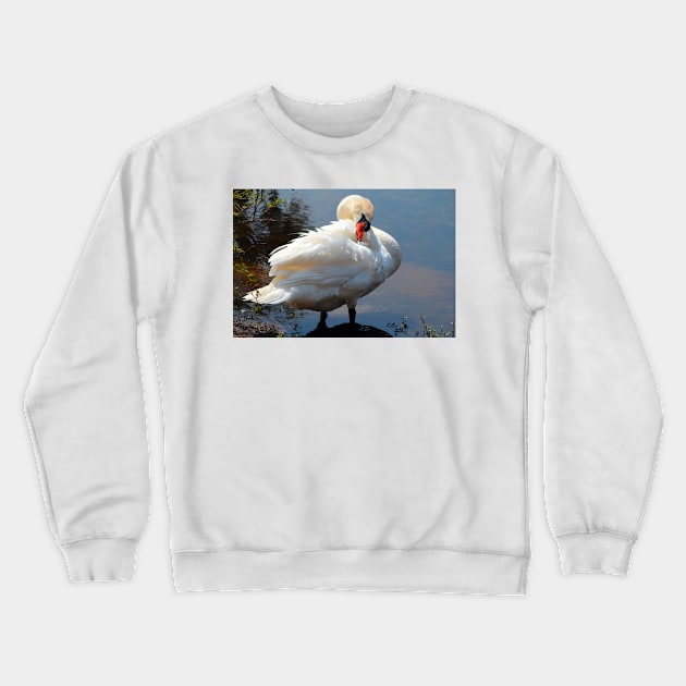 Ankle Deep Crewneck Sweatshirt by Cynthia48